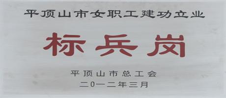 平頂山市女職工建功立業(yè)標兵崗