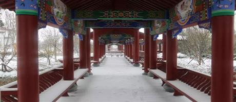 賈湖酒業(yè)雪景如畫（五）