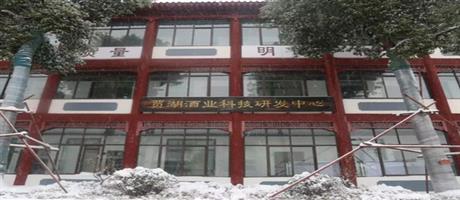 賈湖酒業(yè)雪景如畫（七）